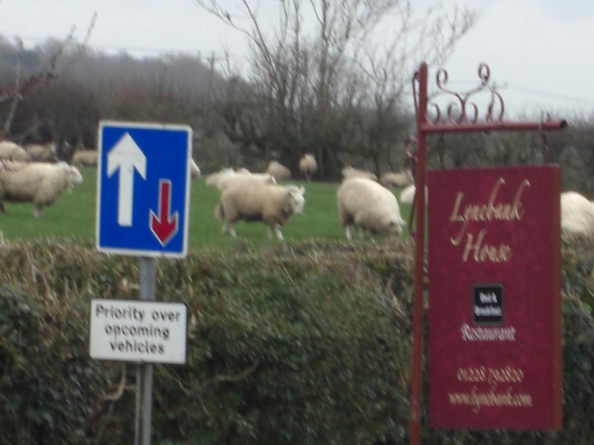 Lynebank House Hotel, Bed & Breakfast Carlisle  Buitenkant foto